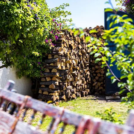 Konukevi Sultan Butik ℳℛ Luxury Concept